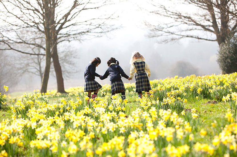 Photograph of 3 pupils standing in field of flowers